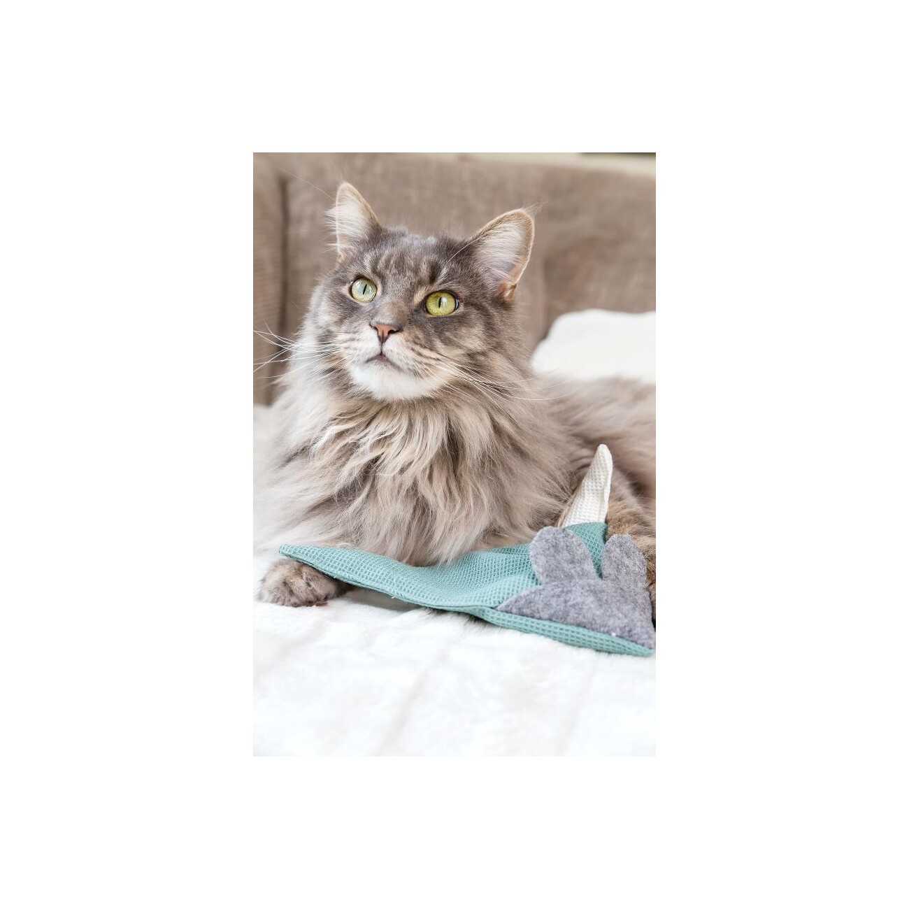 Kater Kasimir 4 x Mausbert - Die 2-in-1 Spielmaus für Katzen, handgemacht aus BIO-Baumwolle mit BIO-Katzenminze-, BIO-Baldrian- und Matatabi-Füllung