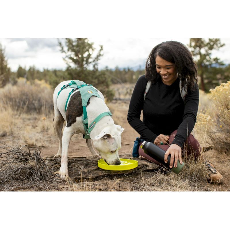 Camp Flyer Toy - Accessoire pour chien