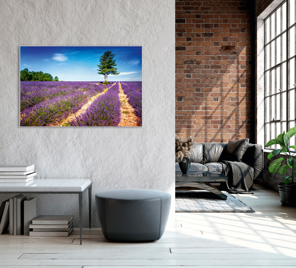 Akustikbild LAVENDELFELD 2 80x120cm, 7kg