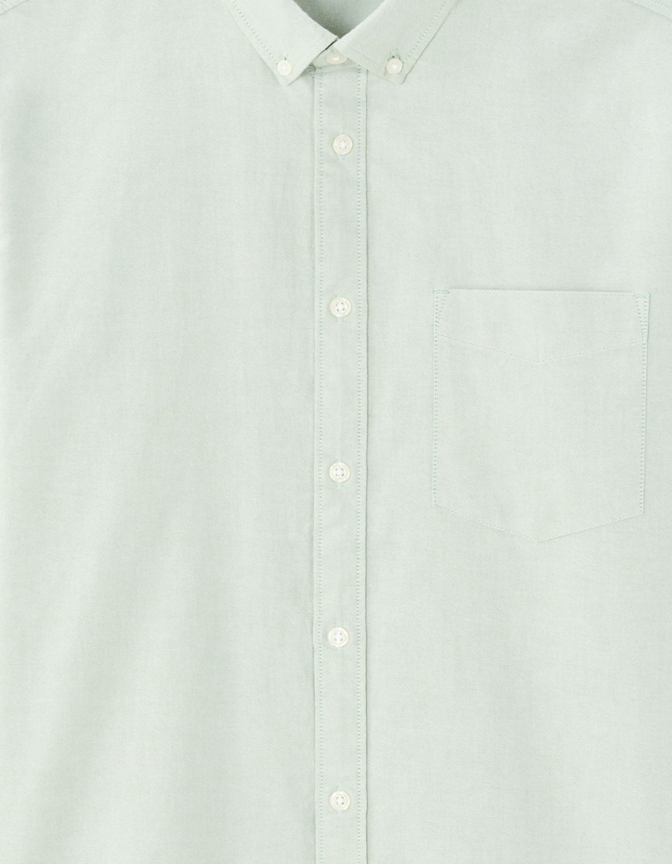 Chemise regular 100% coton oxford - sauge