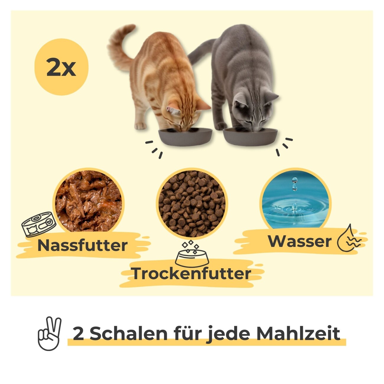PIUPET Katzennapf 