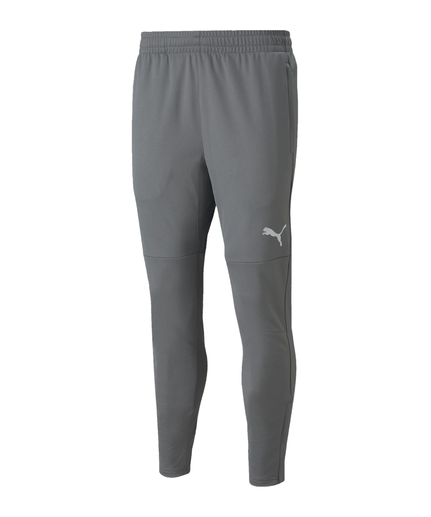 PUMA teamFINAL Trainingshose Grau F13