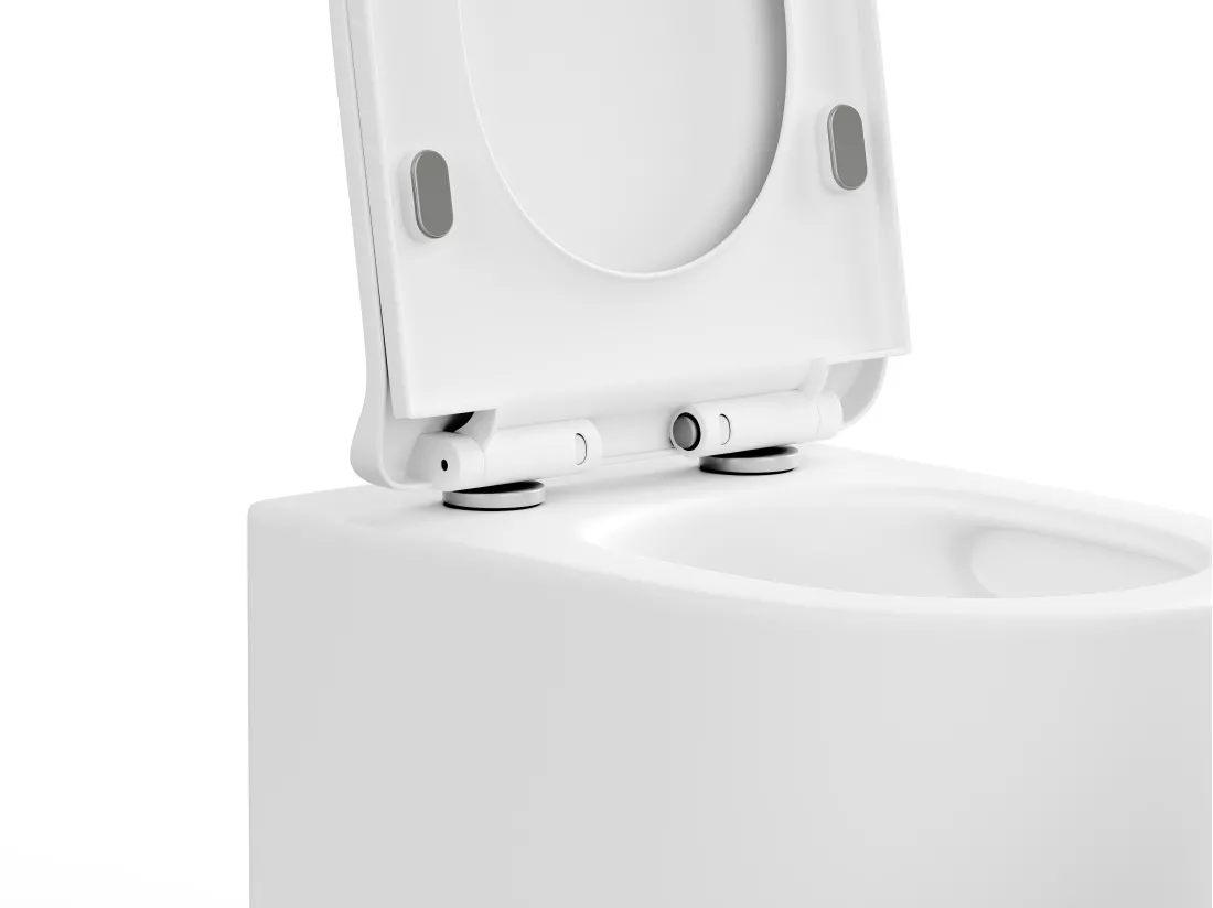 WC suspendu blanc mat en céramique sans bride - JAVOINE
