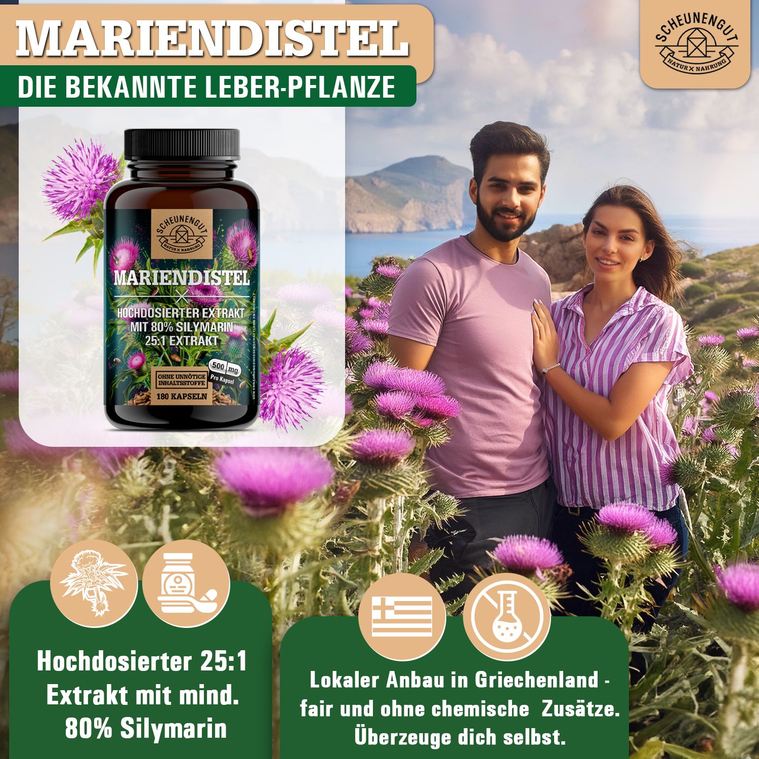 Scheunengut® Mariendistel 25:1 Extrakt | Hochdosiert mit mindestens 80% Silymarin