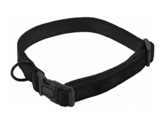 Collier pour Chien 