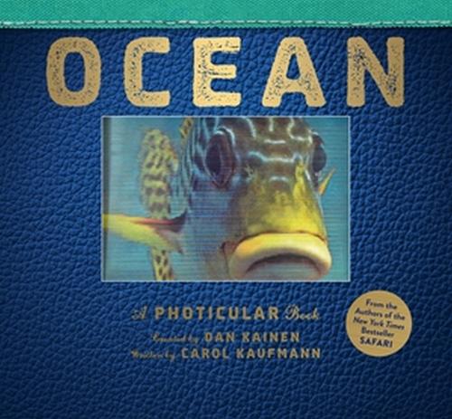 Ocean: A Photicular Book (Hardback)