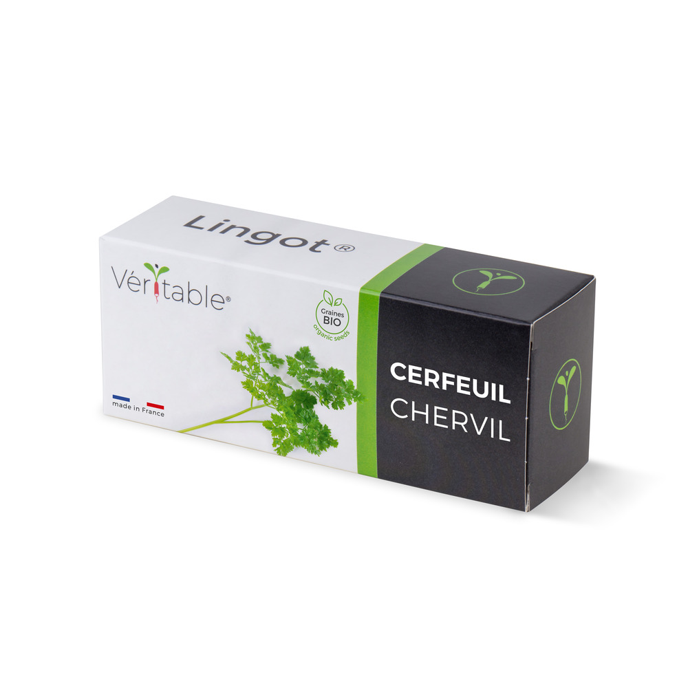 Lingot® cerfeuil - recharge prête-à-l'emploi