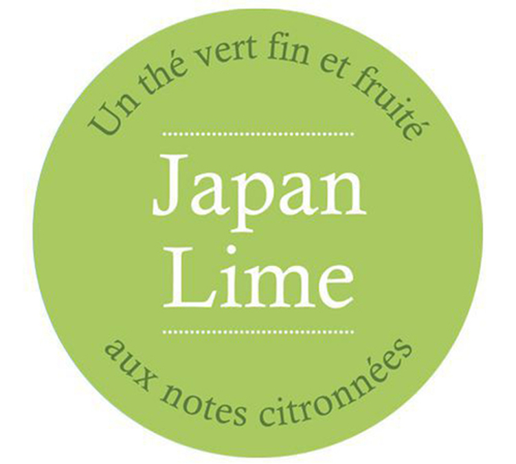 Lot de 2 Thés glacés Japan Lime - 20 pyramides - COMPTOIR FRANÇAIS DU THÉ