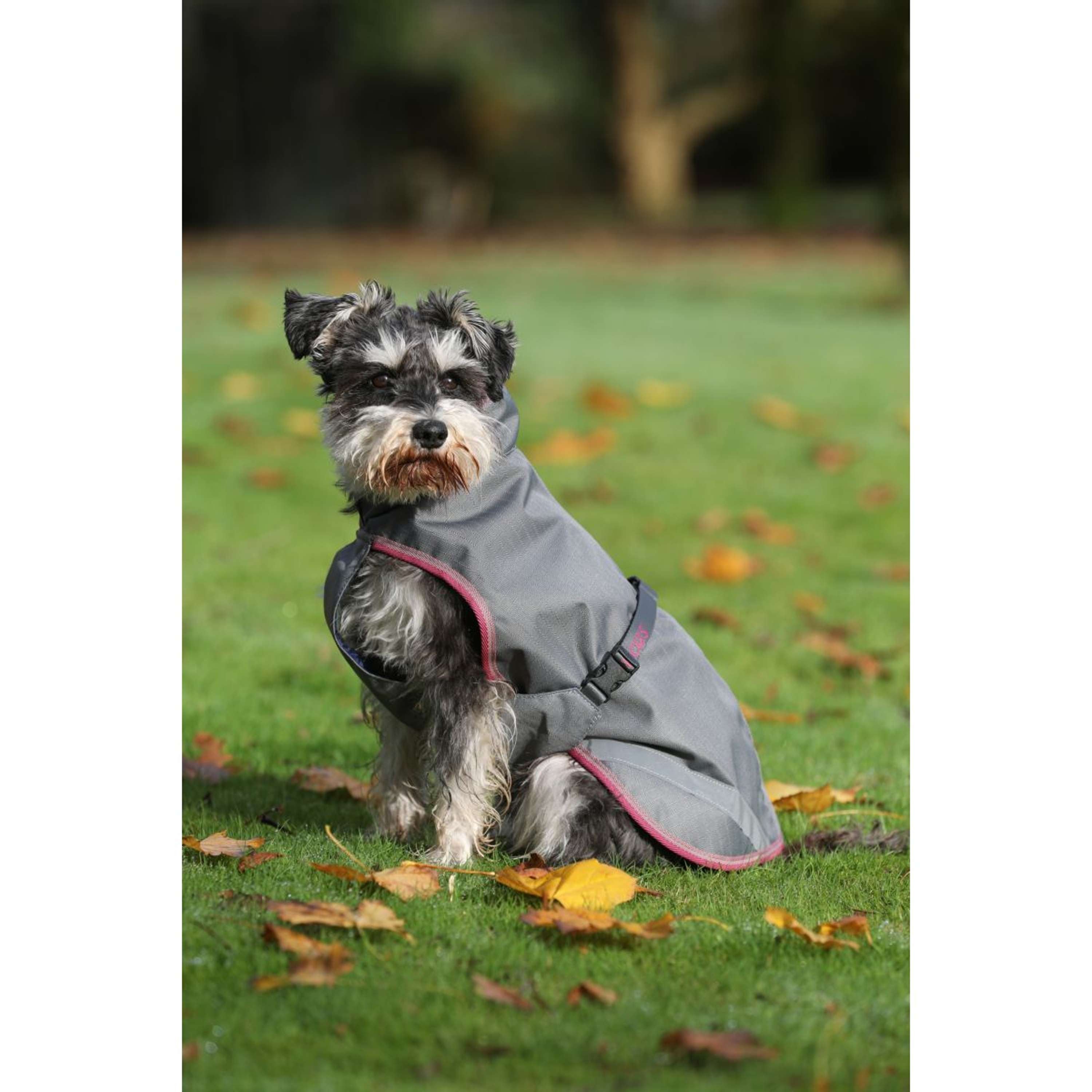 Bucas Freedom Dog Rug 50g Smoke Grey