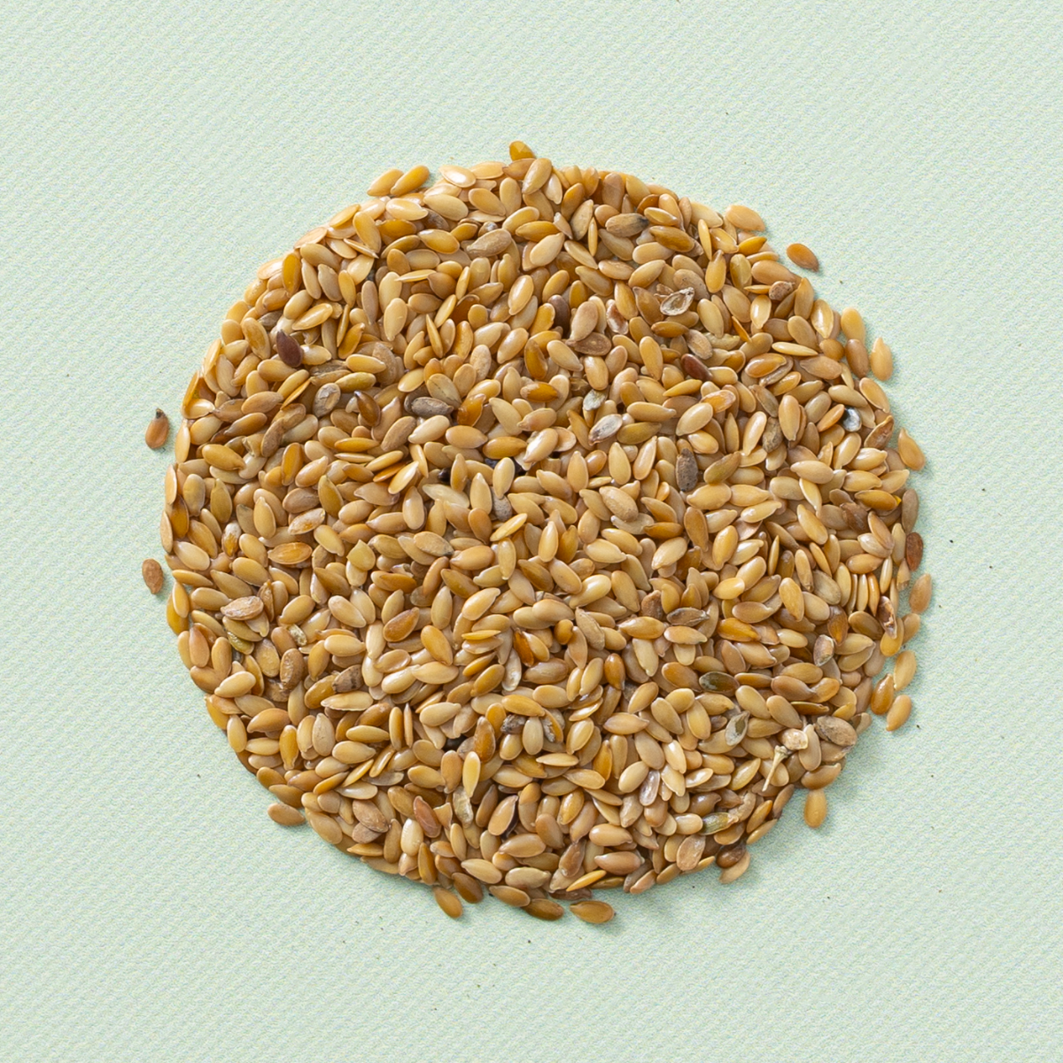 Lijnzaad blond