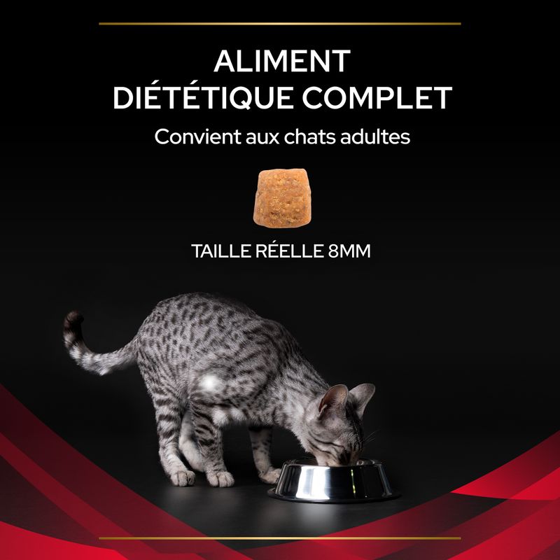 PURINA PRO PLAN Veterinary Diets DM St/Ox Diabetes Management
