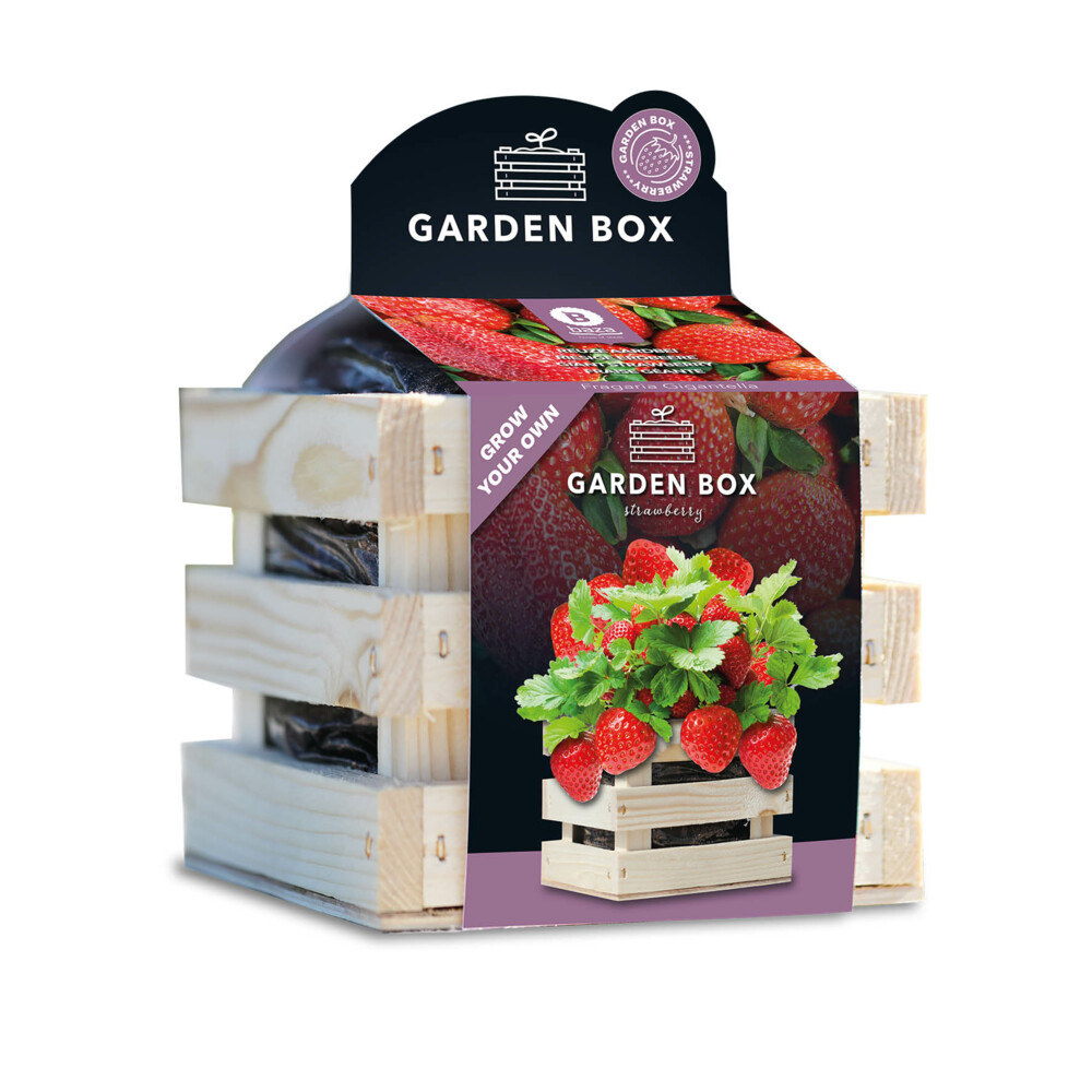 Baza Gardenbox Set Aardbeien1 set