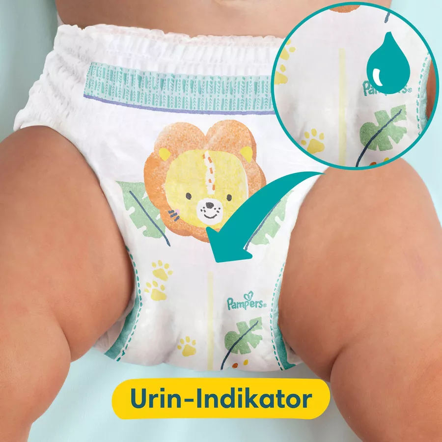 Pampers Premium Protection Pants, Gr. 5, 12-17kg (144 Windeln) und Baby-Dry Pants Night, Gr. 5 12-17kg (160 Pants)