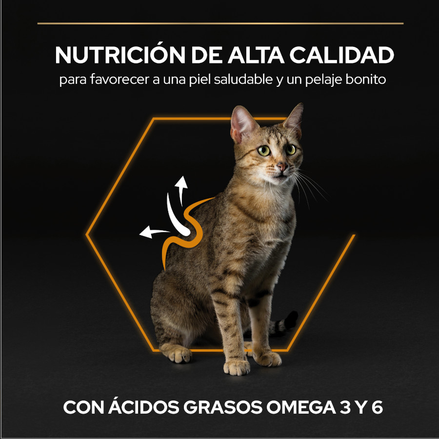 Ração para gatos Pro Plan Adult OptiDerma Salmão