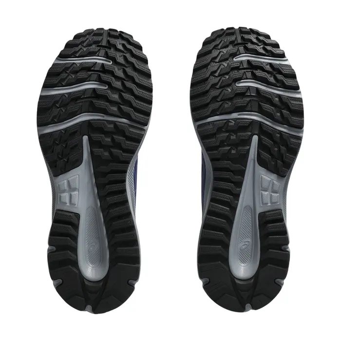 Asics Trail Scout 3 Trailrunningschoenen Dames