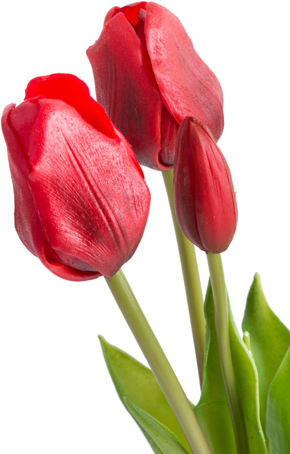 my home Kunstpflanze »Maiva« Tulpenbündel im 7er-Set