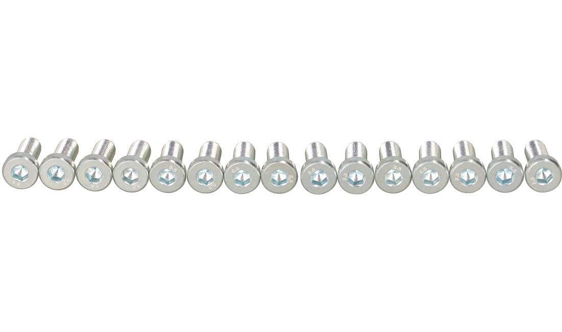 Unbraco bolte 6x16 mm - 15 stk.