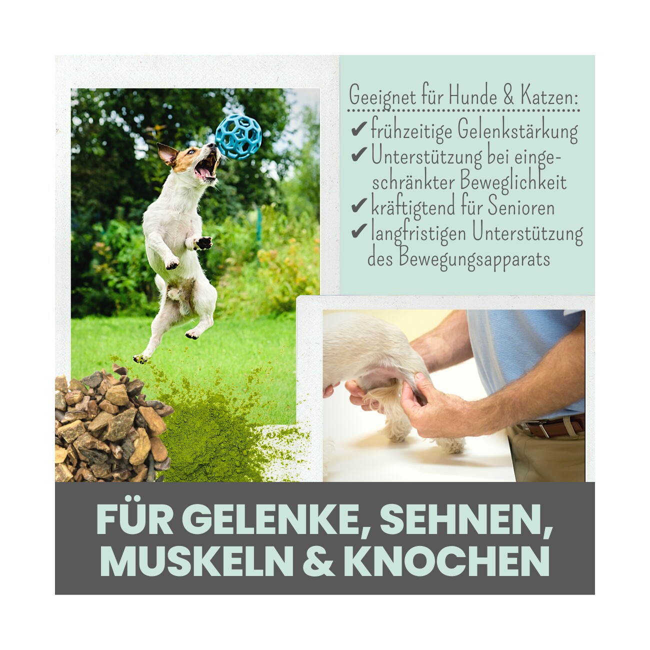 noms+ Gelenkmix für Hunde & Katzen mit Teufelskralle, Kurkuma & Glucosamin 150g