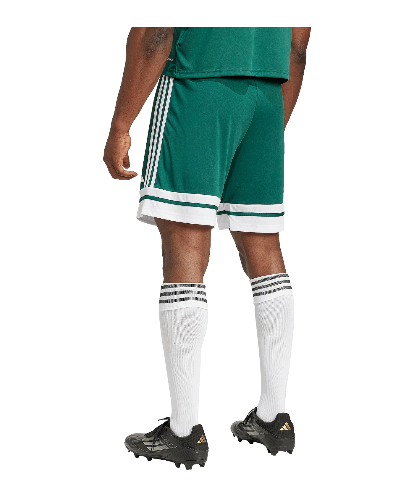 adidas Squadra 25 Short Grün