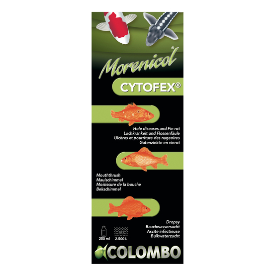 Traitement contre les infections bactériennes Cytofex 250ml /2500L