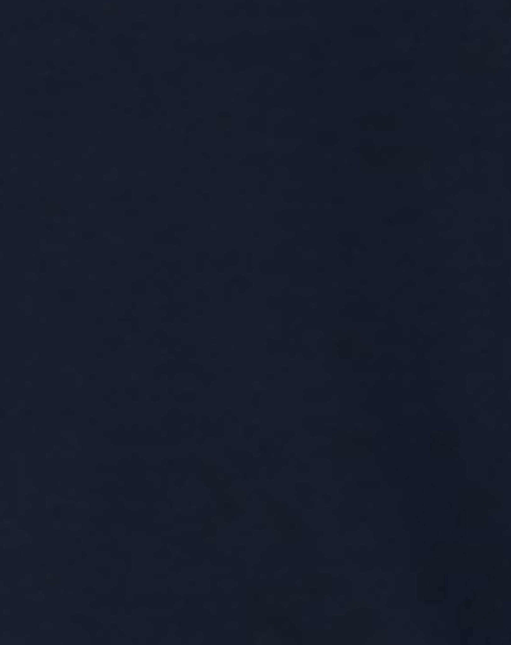 Langarmshirt NMMTYANS TURTLE & CROC in dark sapphire