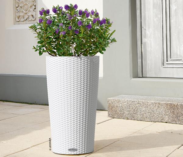 LECHUZA® Kunststoff-Säule Cilindro Cottage
