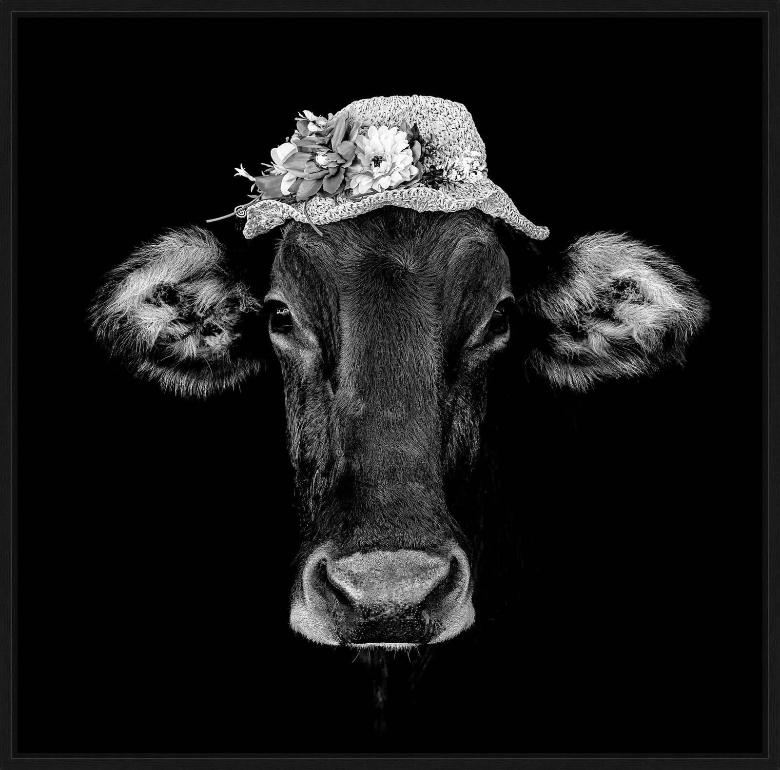 Fortuna III by Claudio Gotsch - Limited Edition. Edition of: 150. Signed.