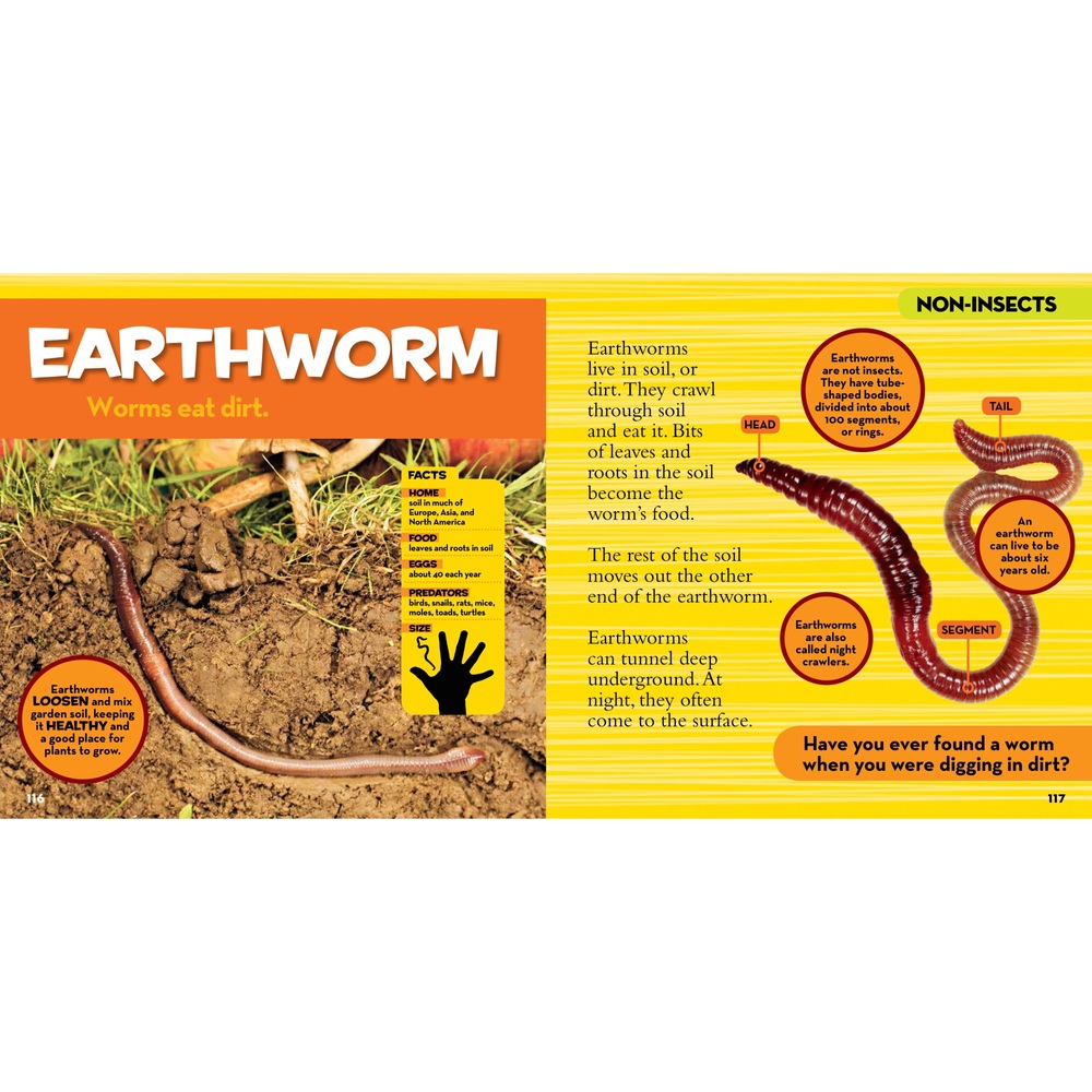 National Geographic Kids: Das erste große Insektenbuch für kleine Kinder (gebundene Ausgabe)