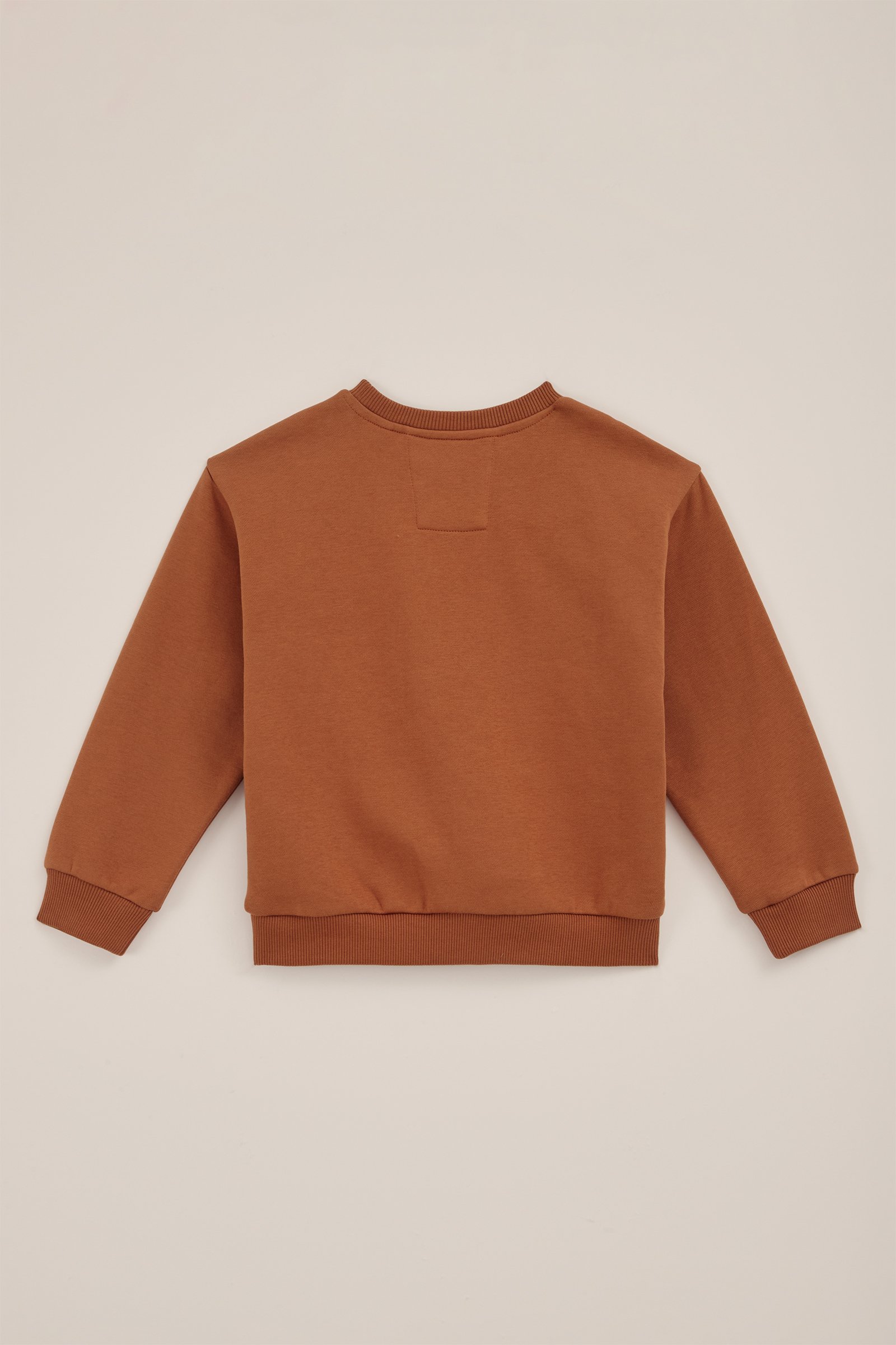 Jongens sweater met opdruk WE Fashion Roestbruin