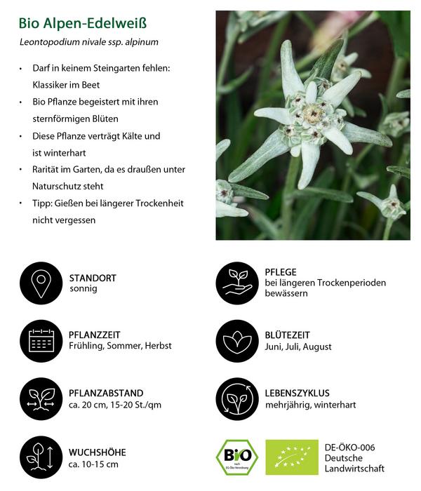 Bio Stauden-Set Alpengarten, 12-teilig