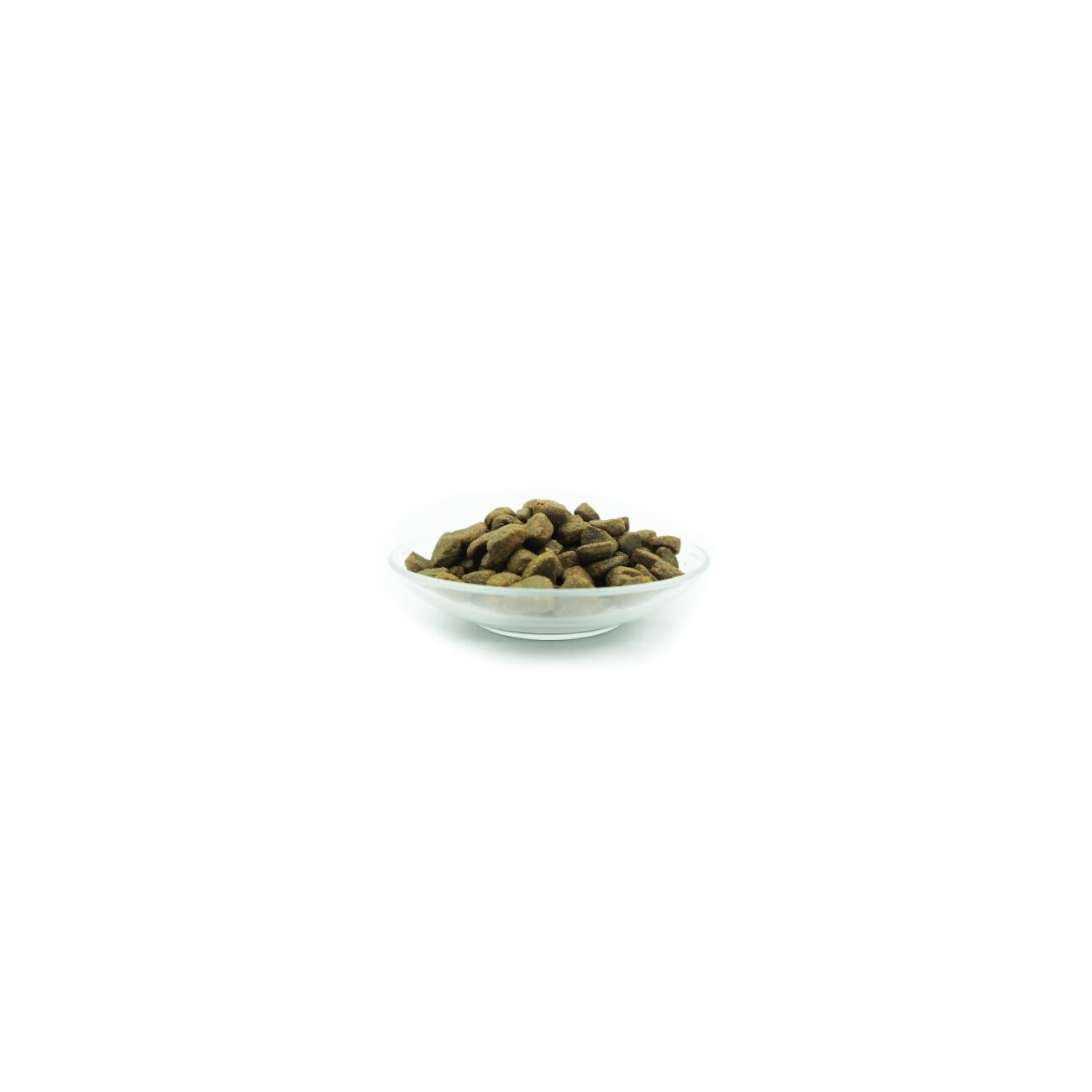 Bellfor Trockenfutter für Hunde mit Wildlachs und Bachforelle - Wildbach-Schmaus - 7,5 kg