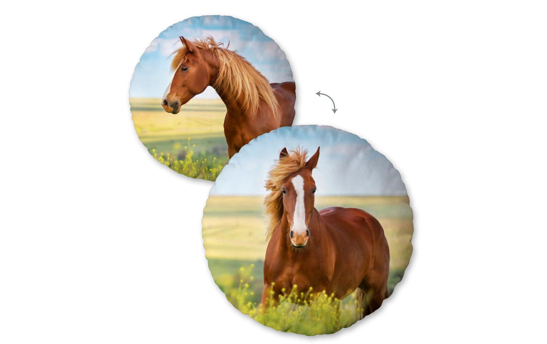 Kissen Pferd 50 x 50 cm, MehrfarbigDekokissen
