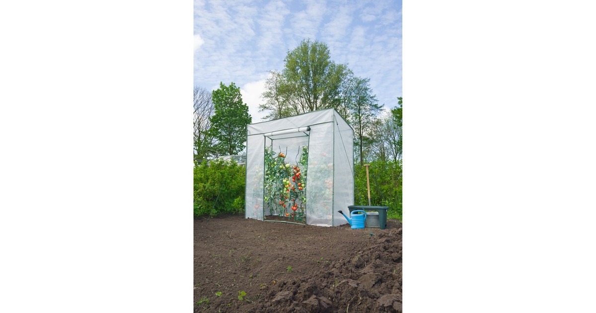 NatureTomatentuinkas kweekkas  (Groen/transparant)