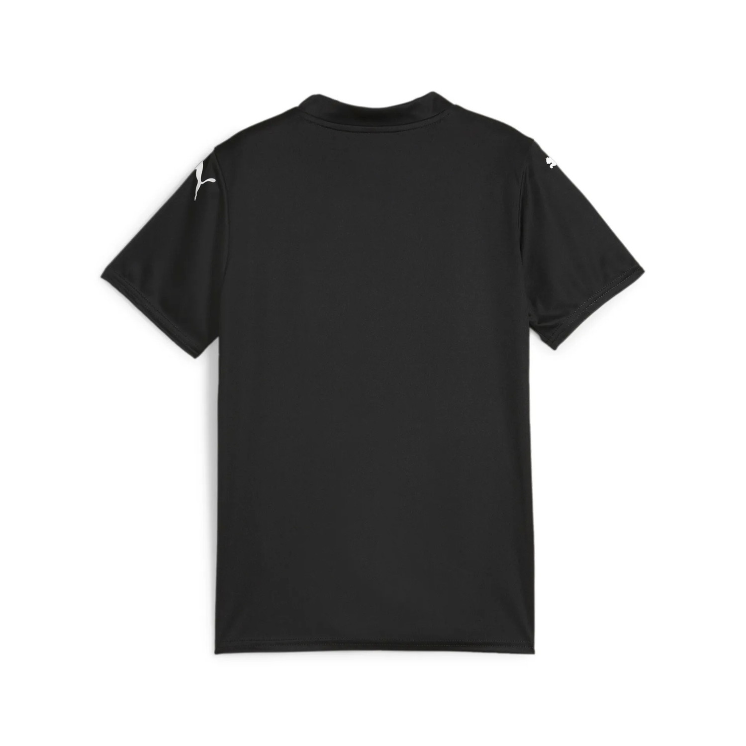 Puma GLORY Keeperstenue Kids