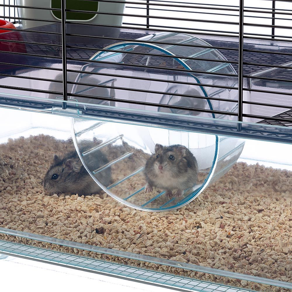 Ferplast cage pour hamsters favola, maisonnette pour petits rongeurs, plastique robuste et métal, 2 étages, accessoires inclus