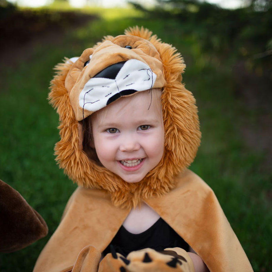 Cape Storybook Leeuw, 4-6 jaar