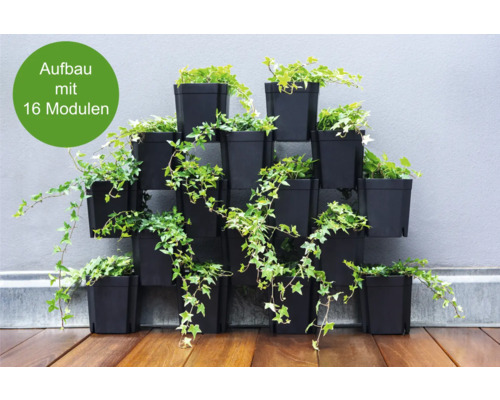 FlexiFlora Plantenpotset, 16-delig, modulair plantsysteem, plug-in systeem, 14,5 x 14,5 x 15 cm, zwart kunststof, inclusief bewateringssysteem