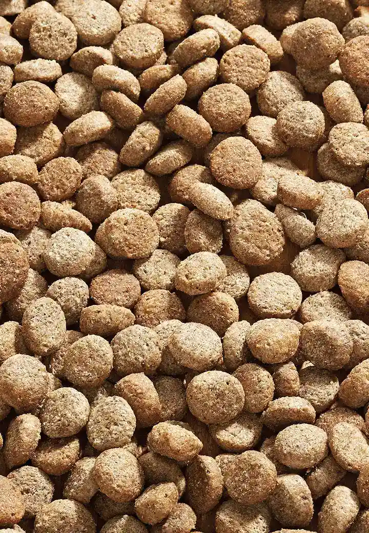 Dog Low Fat