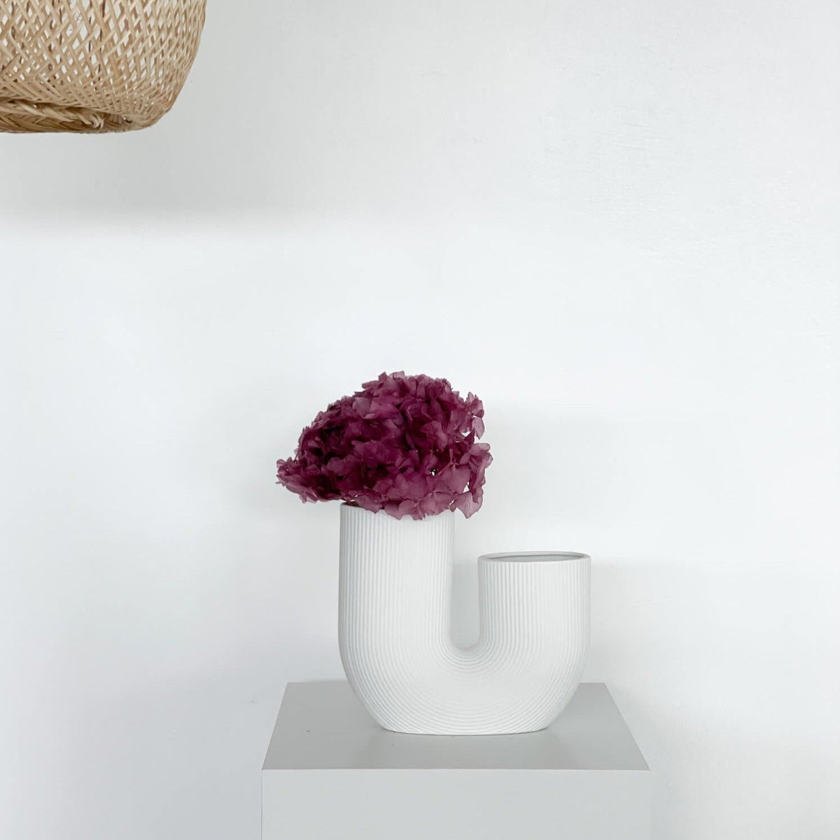 Hortensia: Tijdloze schoonheid, geconserveerde hortensia's als perfecte decoratie