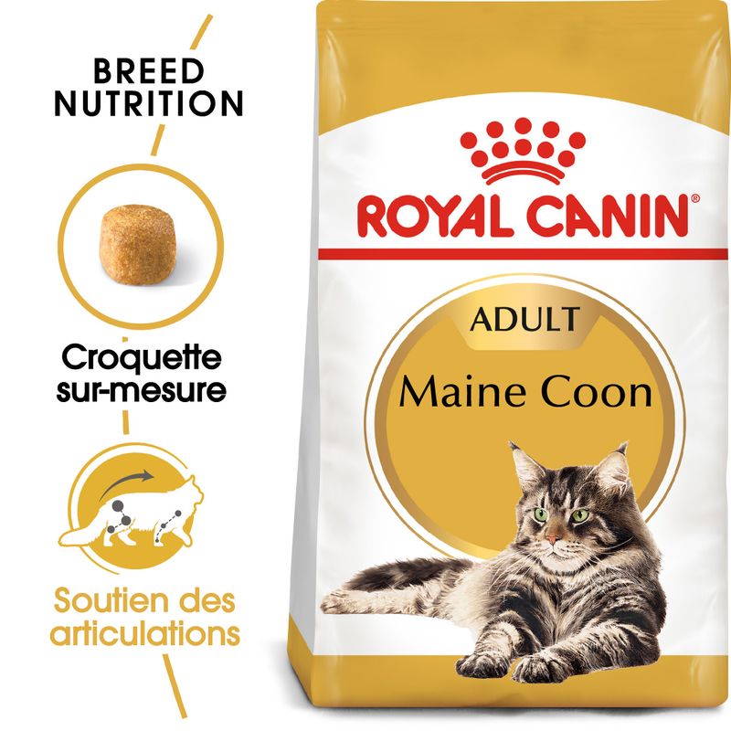 Royal Canin Maine Coon Adult à prix discount sur bitiba.fr