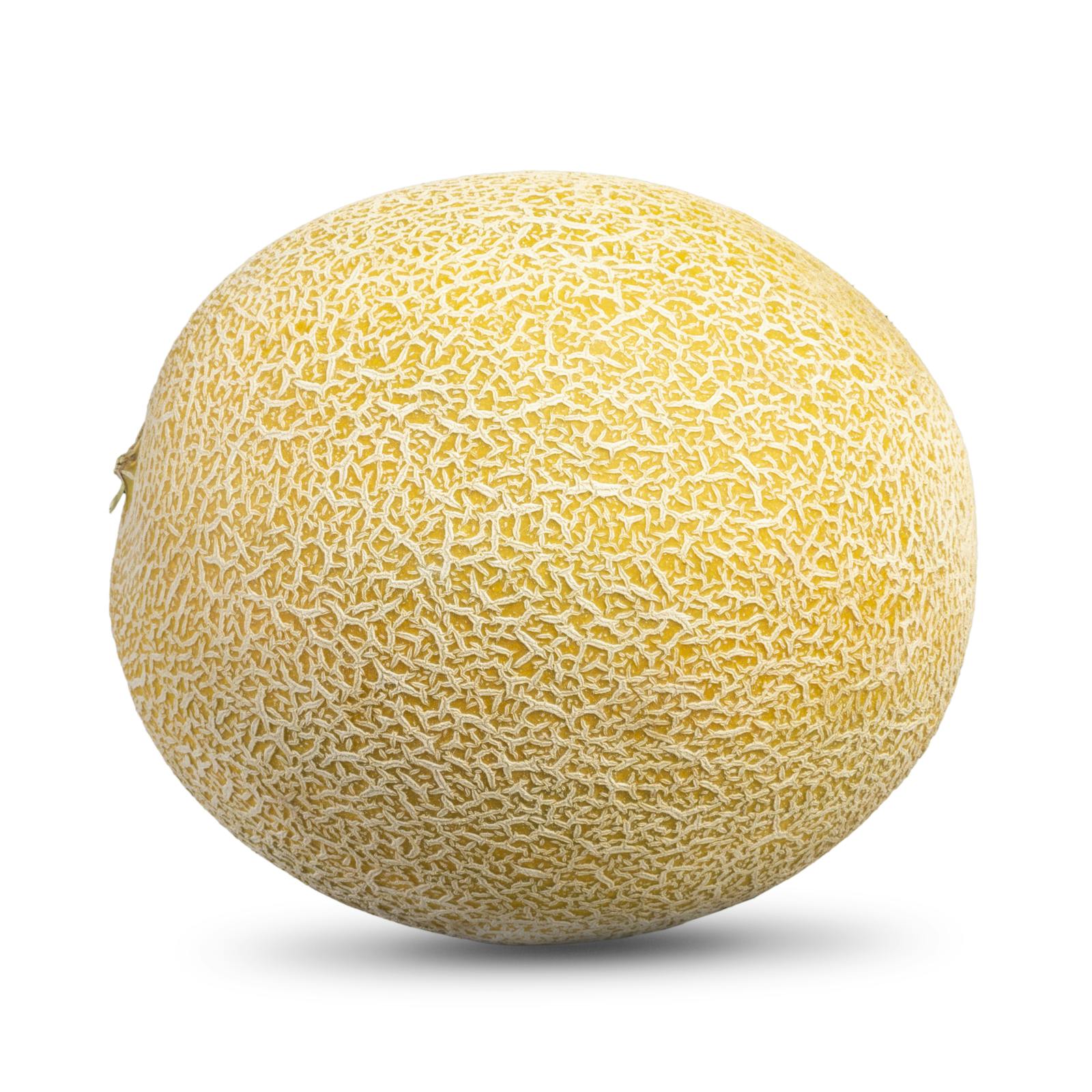 Galia Melon