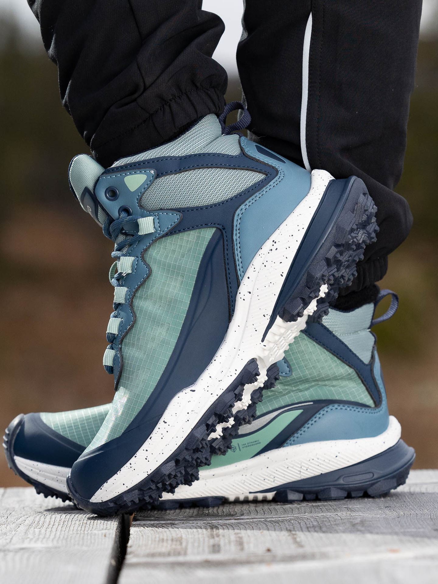 Trekker Lady WP