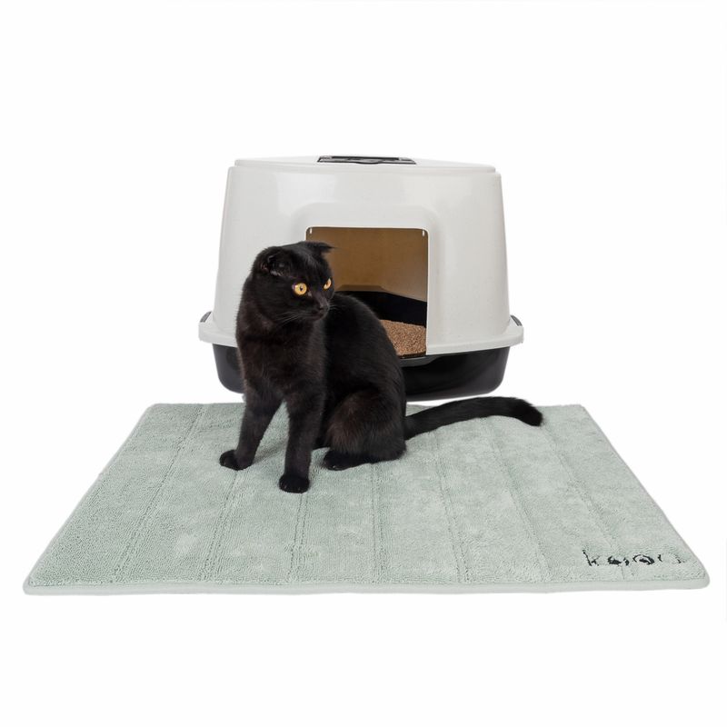 Tapis de maison de toilette antibactérien kooa