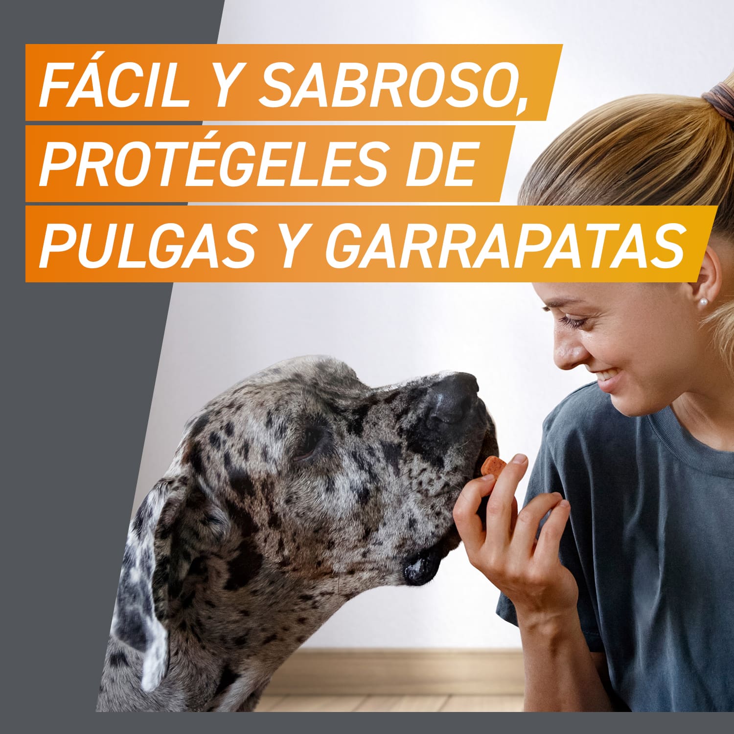 Comprimidos antiparasitários mastigáveis Frontpro para cães