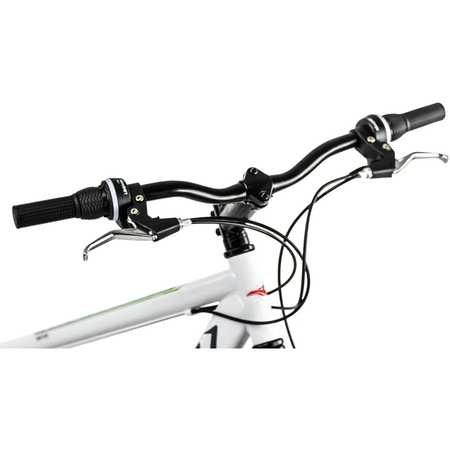 KS Cycling Mountainbike Hardtail ATB Twentyniner 29“ Heist weiß-grün weiß