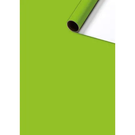 STEWO Geschenkpapier Uni Plain grün hell