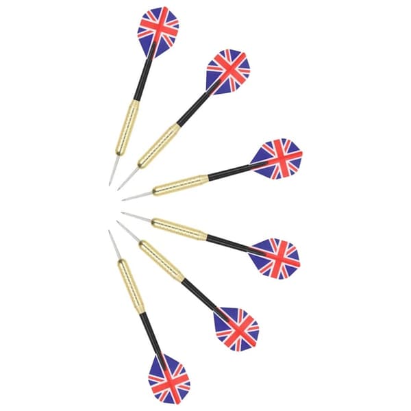 vidaXL Profesjonell dartskive sisal med 6 darts