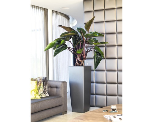 Lechuza Cubico Alto 40 plantenbak complete set H 105 cm antraciet