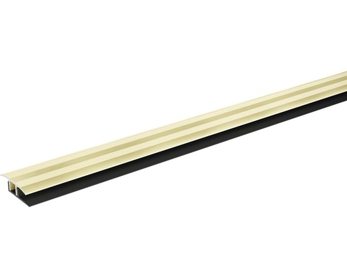 SKANDOR overgangsprofiel champagne geanodiseerd incl. cliprail 11x34x900 mm