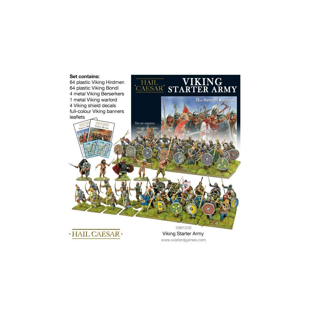 Viking Starter Army